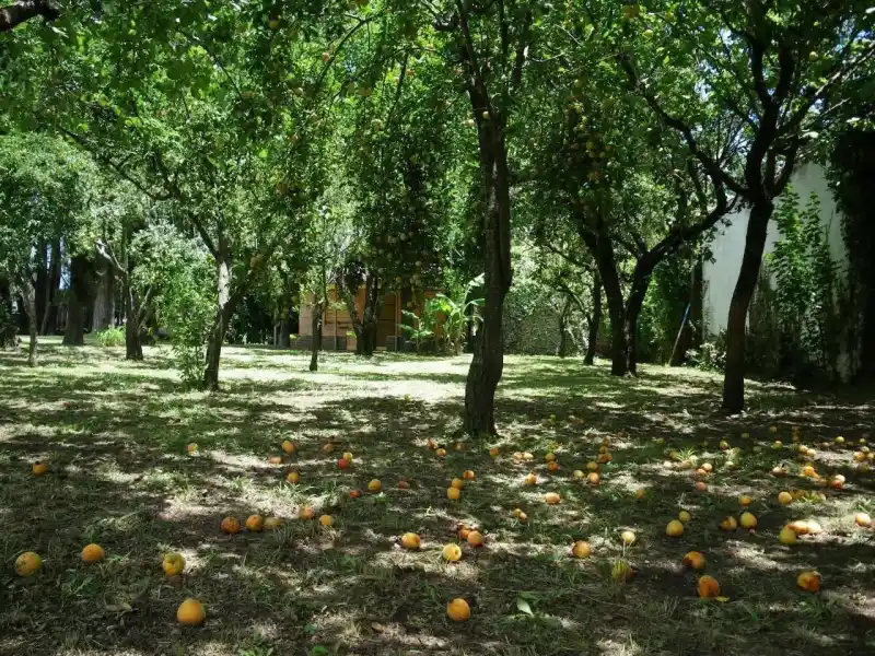 Gran Terreno De 1.392 M2 + 2 Deptos | Carlos Paz